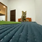 Homechill